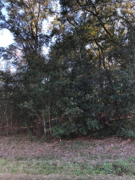 ORANGE BLOSSOM HILLS