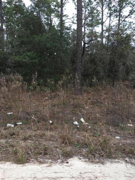 Lake Tropicana Ranchettes