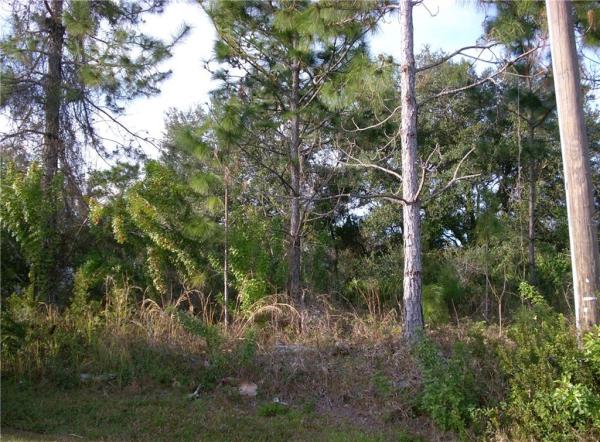 POINCIANA VILLAGE 01 NEIGHBORHOOD 02