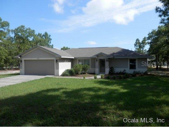 Orange Blsm Hls - фото