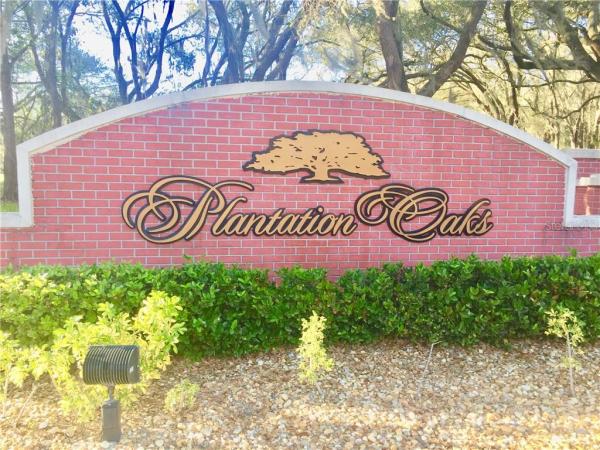 PLANTATION OAKS