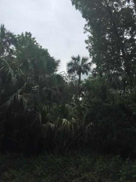 DREWS 1ST ADD TO BLACK HAMMOCK