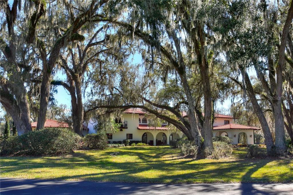 NONE - фотография NONE - фото