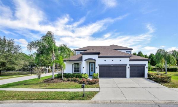 GREY HAWK AT LAKE POLO PH 02