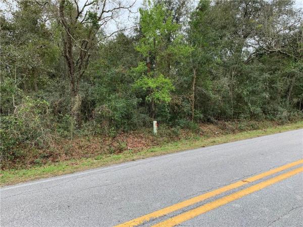 ORANGE BLOSSOM HILLS