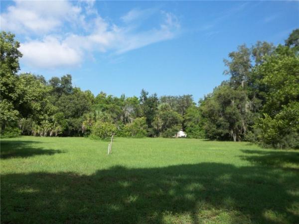 TAMPA TARPON SPGS LAND CO