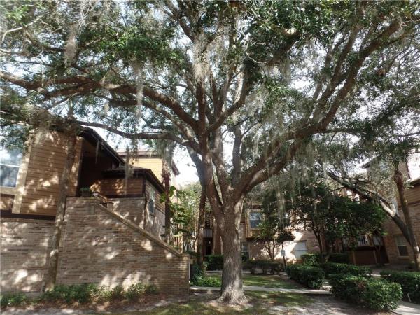 WINDSOR AT SABAL WALK A CONDO