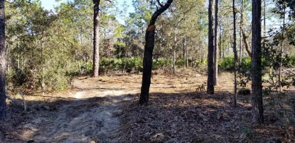 CRYSTAL RIVER KNOLLS UNIT 02 UNREC