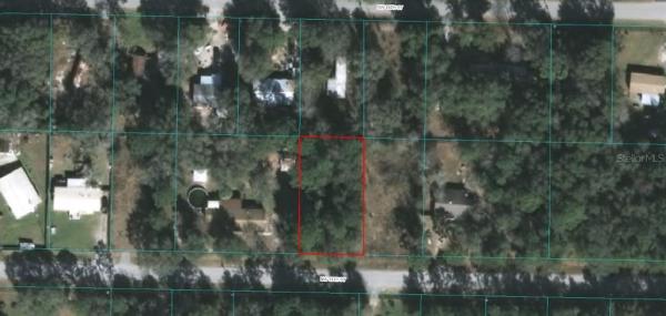 ORANGE BLOSSOM HILLS UN 01