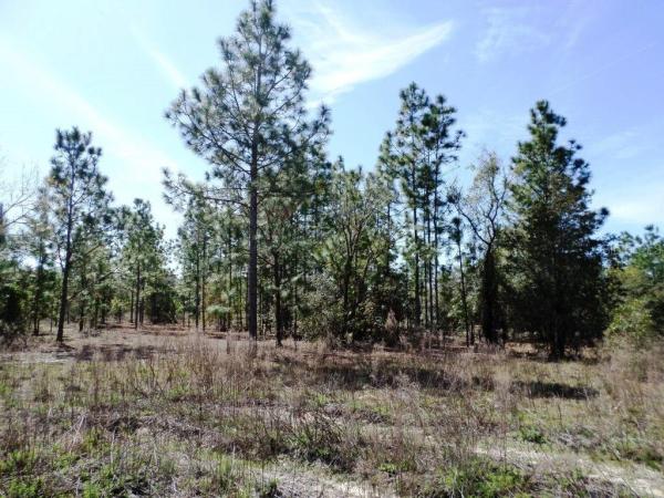 RAINBOW LAKES ESTATE