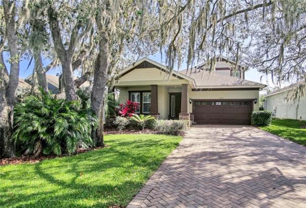 STARLING AT FISHHAWK