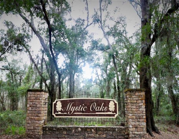 MYSTIC OAKS