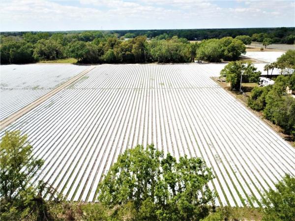 HIGHLAND PINES ESTATES