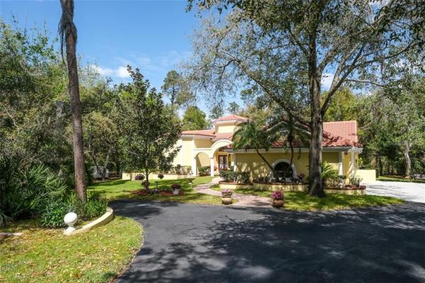 TAMPA & TARPON SPGS LAND CO