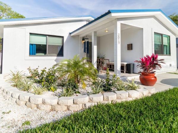 JUNGLE TERRACE SEC C