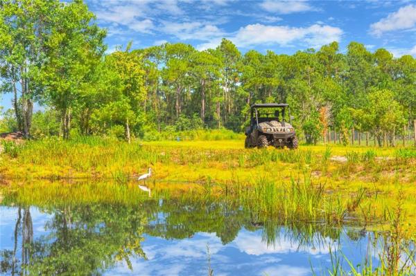 HOWE & CURRIERS ALLOTMENT