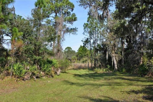 FOREST AT THE HI HAT RANCH