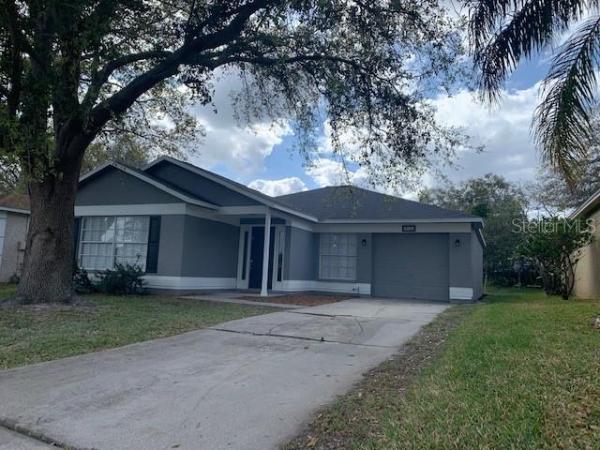 BRANDON BROOK PH IIIA