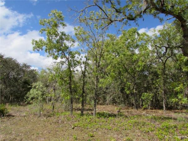 MINI FARMS UNIT 16 UNREC