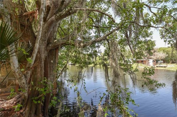 DAISY LAKE CAMPSITES
