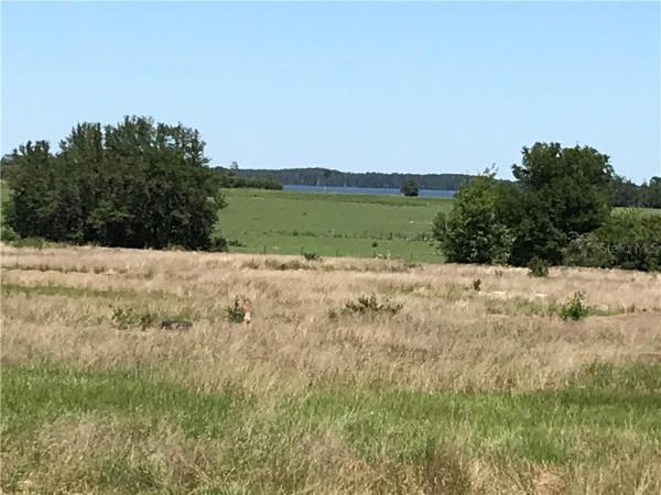 WF HALLAM & COS CLUB COLONY T