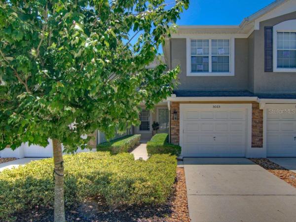 CARRIAGE HOMES AT DUNWOODY COMMONS A CONDO