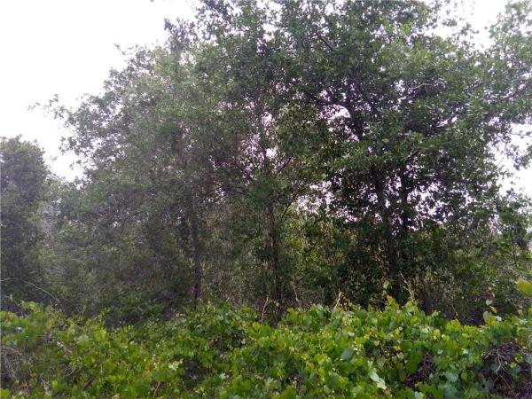 COUNTRY HILLS ESTATES