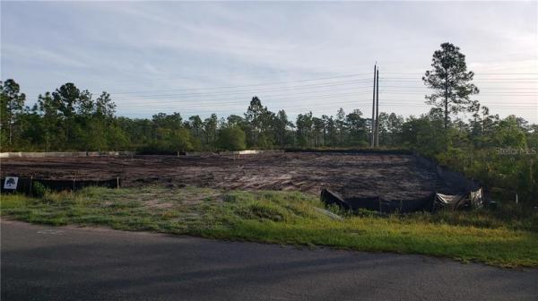 CAPE ORLANDO ESTATES