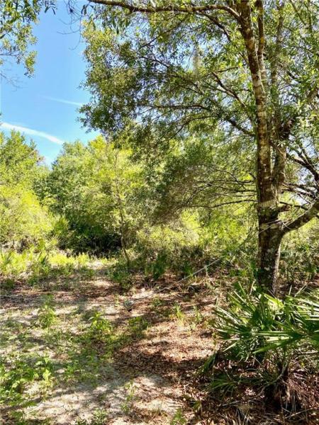 ST CLOUD MANOR ESTATES