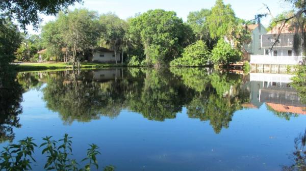 FLORA VILLA FINAL SURV