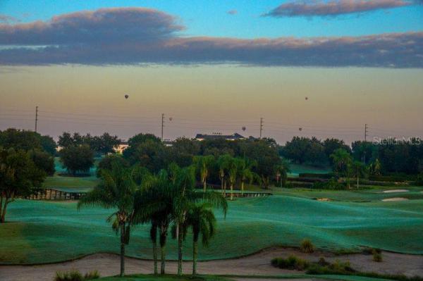 REUNION LIBERTY BLUFF COROLLA