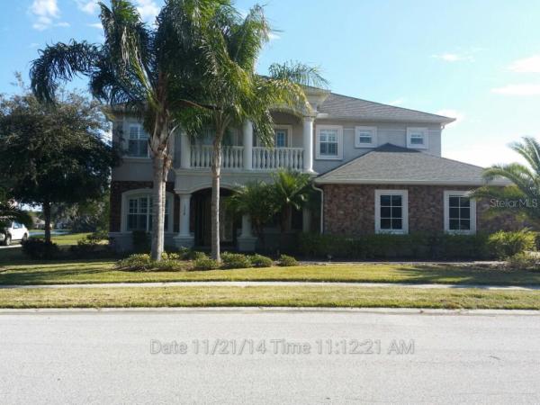 GREY HAWK AT LAKE POLO