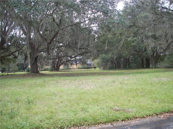 SANCTUARY ON LIVINGSTON