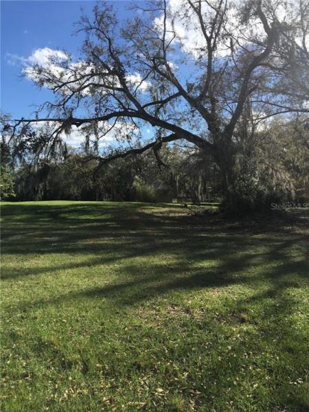 SANCTUARY ON LIVINGSTON