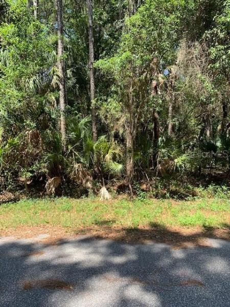 PORT CHARLOTTE SUB 25