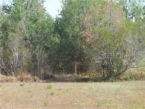 POINCIANA VILLAGE 01 NEIGHBORHOOD 02