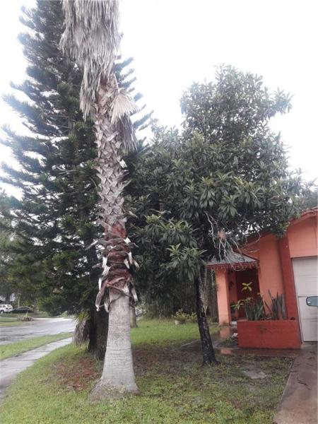 FLORIDA CENTER WINDHOVER RESIDENCE