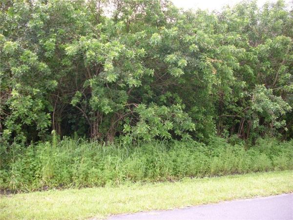 POINCIANA VILLAGE 05 NEIGHBORHOOD 01