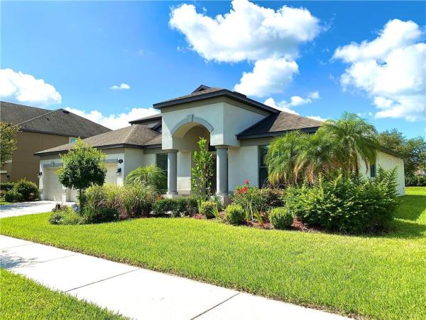 PANTHER TRACE PH 2B-3