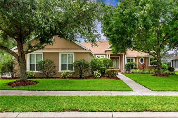 GREY HAWK AT LAKE POLO