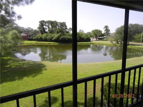 EAST LAKE WOODLANDS CONDO