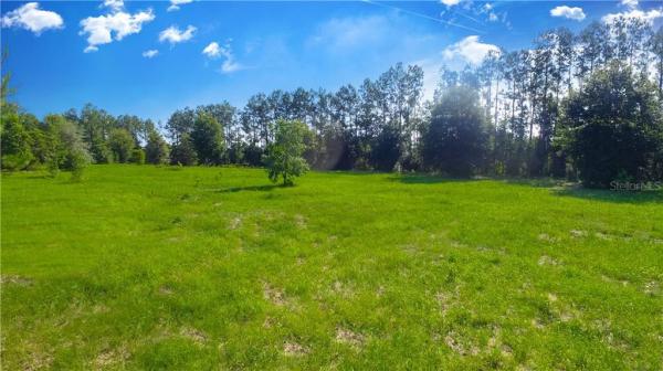 GROVELAND FARMS 34-22-24