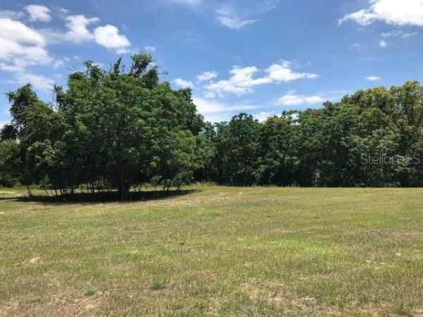 BEAUCLAIRE ESTATES OF MOUNT DORA PH2