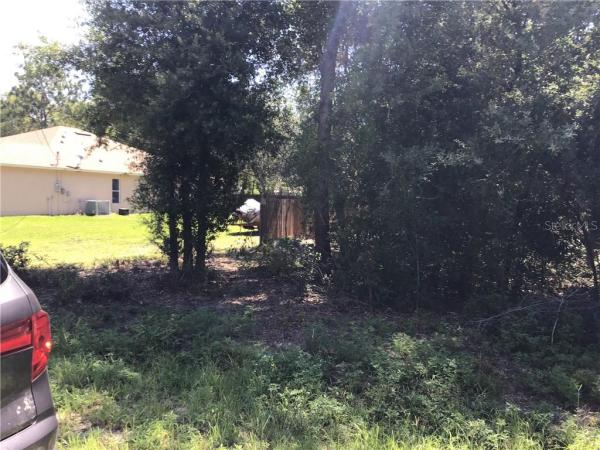 ORANGE BLOSSOM HILLS UN 14