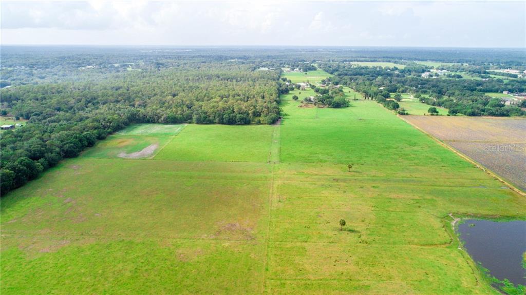 UNPLATTED - фото