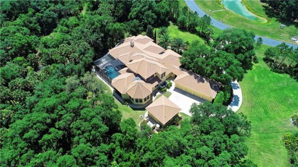 FOREST AT THE HI HAT RANCH