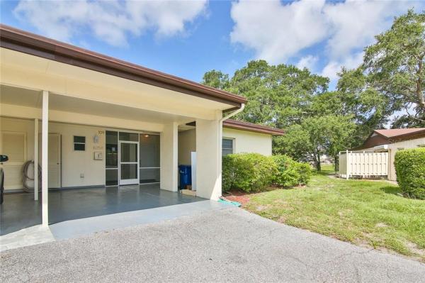 VILLAGE IN THE PINES 1