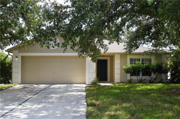 TAVARES MARTINS GROVE