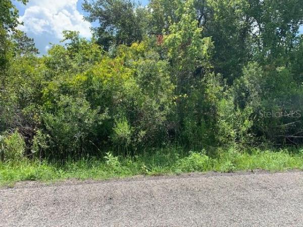 HOLOPAW COUNTRY ESTATES