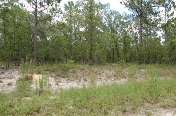 ROLLING HILLS UN 01 07